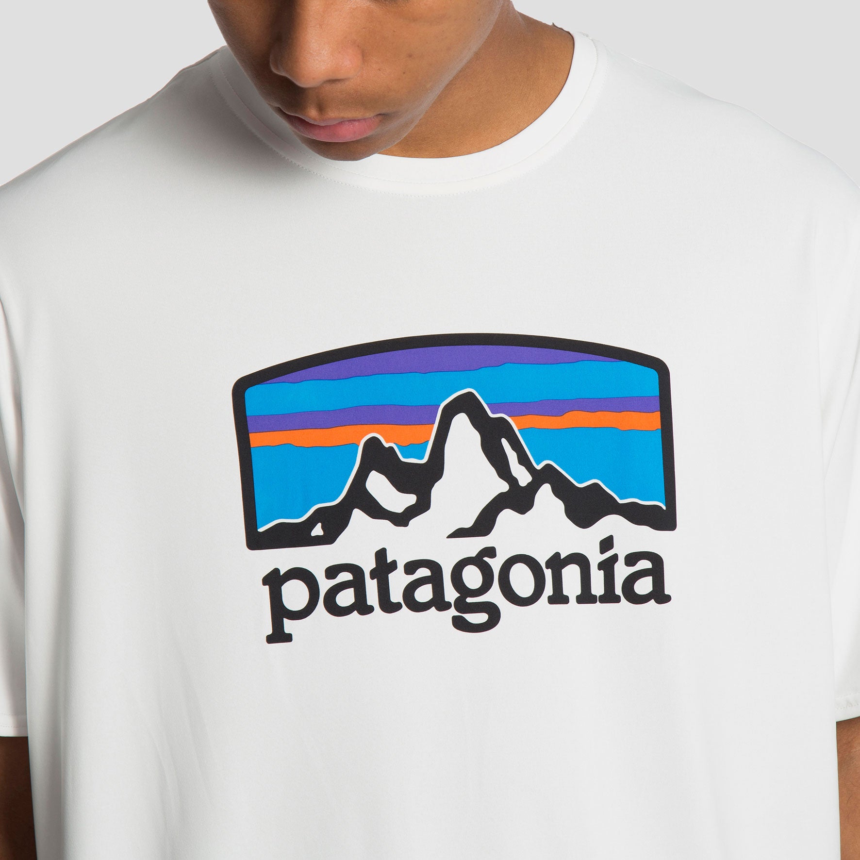 Patagonia Camiseta Fitz Roy Horizons - 45235FHWH - Colección Chico