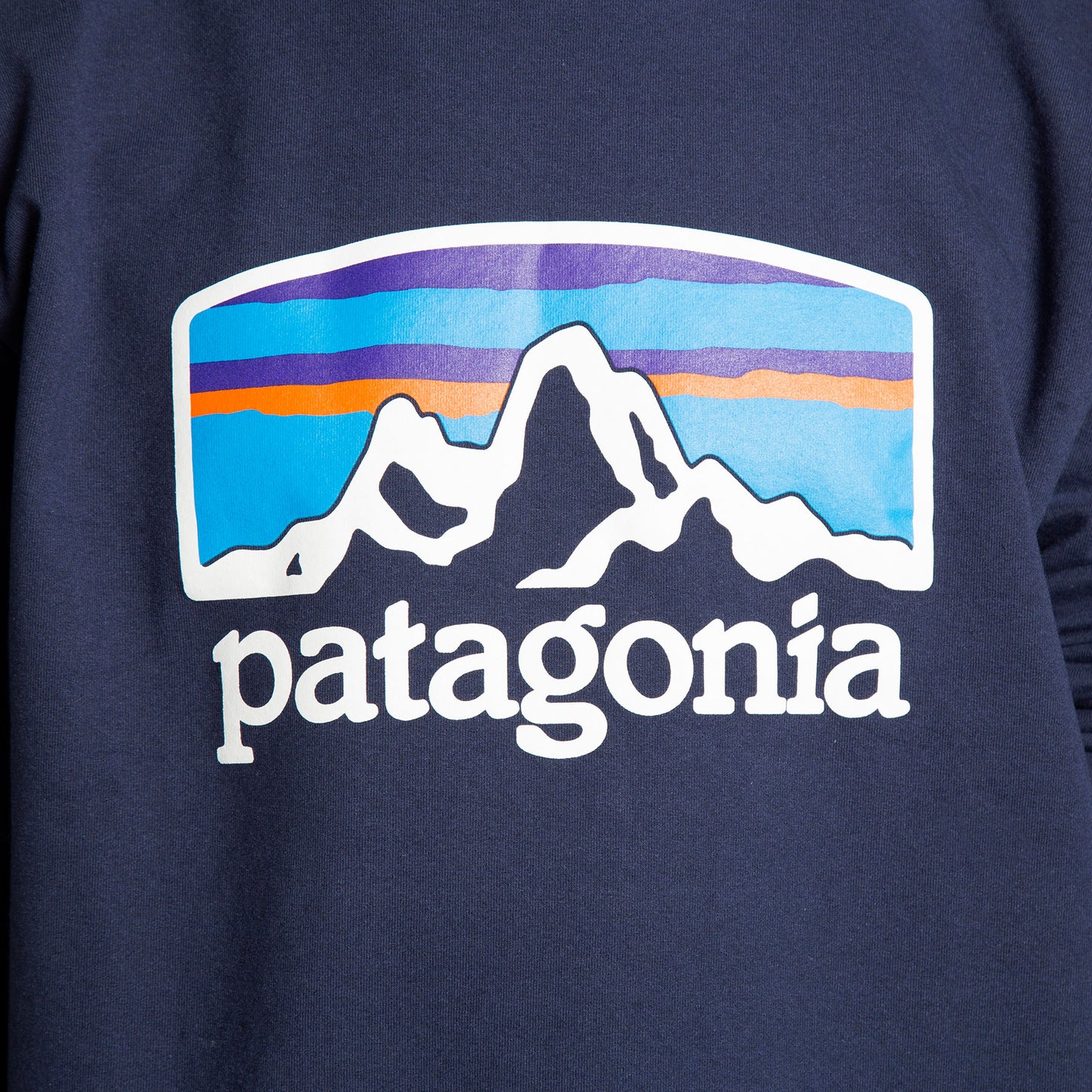 Patagonia Crew Horizons - 39586-CNY - Colección Chico